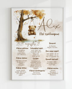 Szülinapi plakát - hintás maci