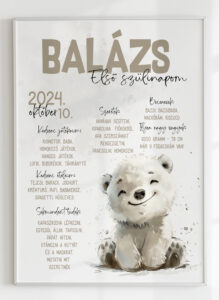 Szülinapi plakát - jegesmaci