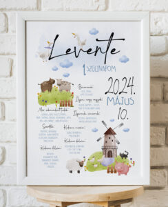 Farm- szülinapi plakát