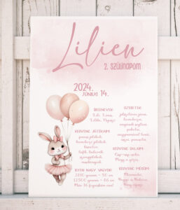 Szülinapi plakát - nyuszi