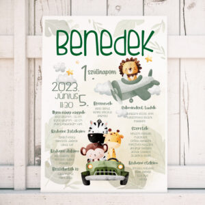 Szülinapi plakát - szafari