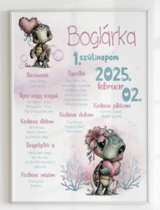 Szülinapi plakát teknős